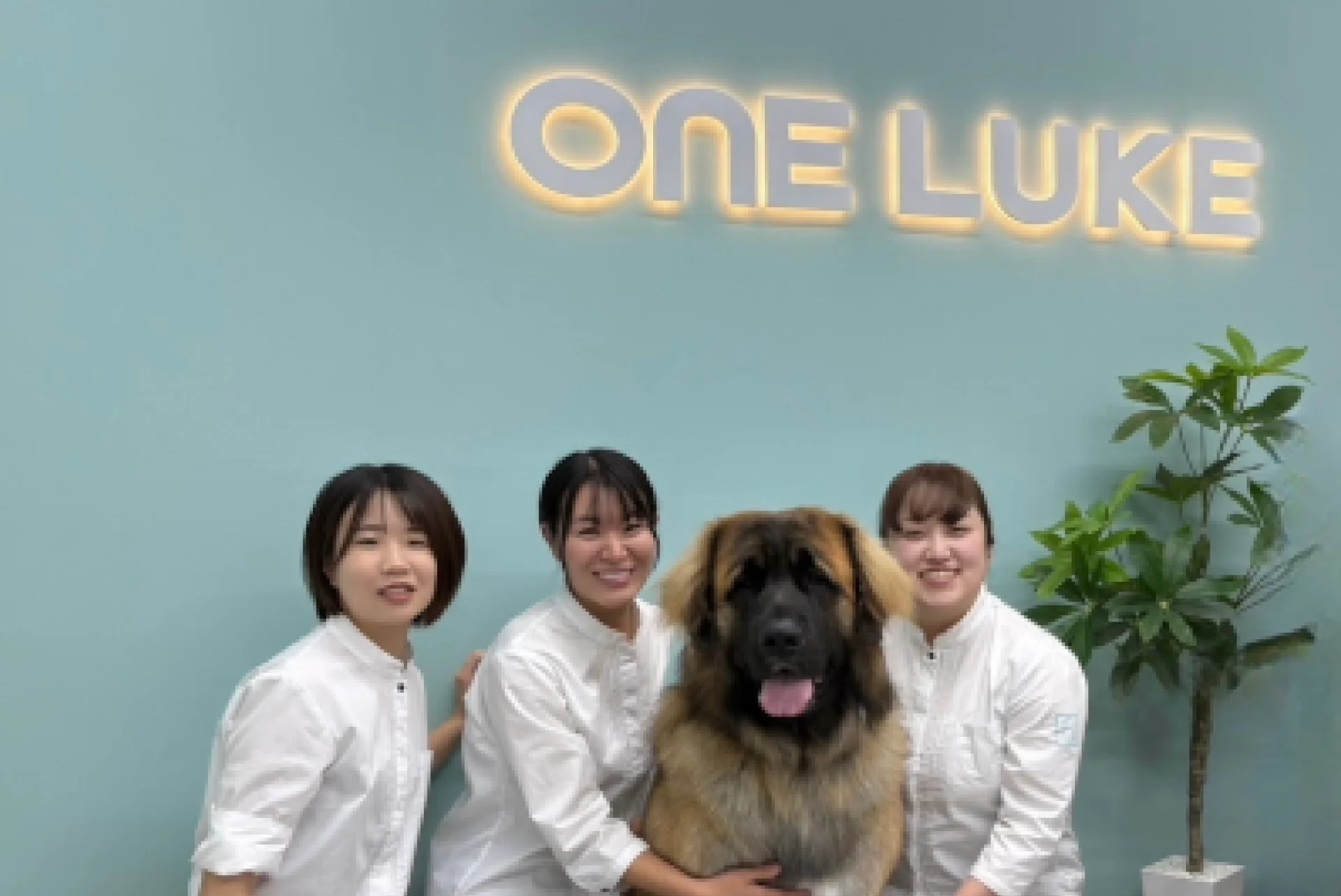 ONE LUKE 江戸川区松本店の写真